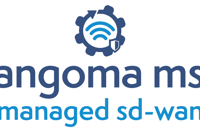 Overall Managed SD-WAN Benefit Review